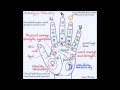 How to read a palm - the astrology of the hand - psychic, clairvoyant and intuitive insight