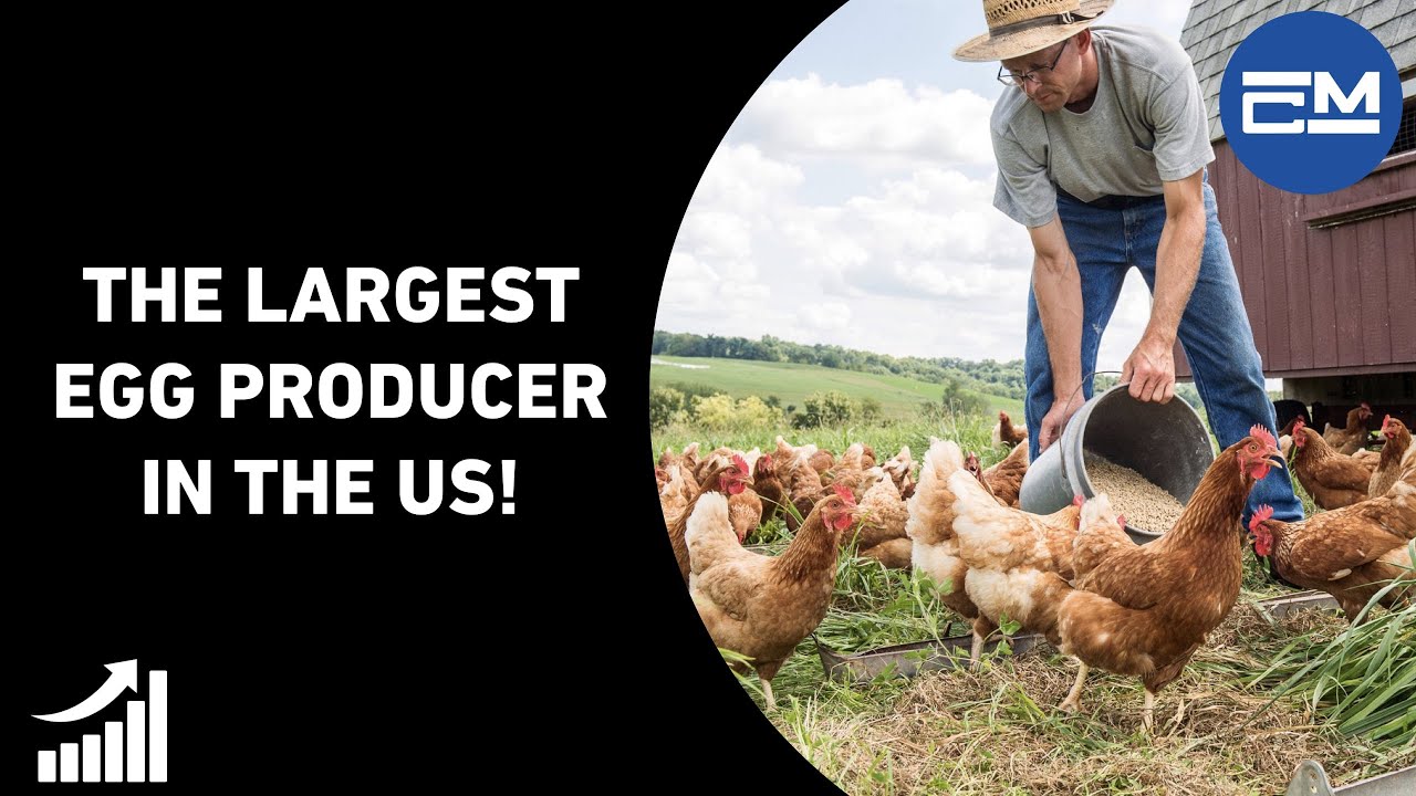 Should You Buy Cal-Maine? - CALM stock analysis