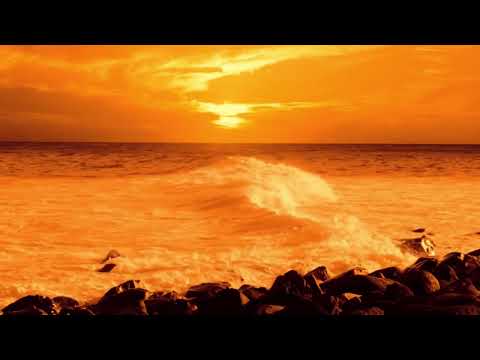 شعر ده نصيب شعر السيد زارع