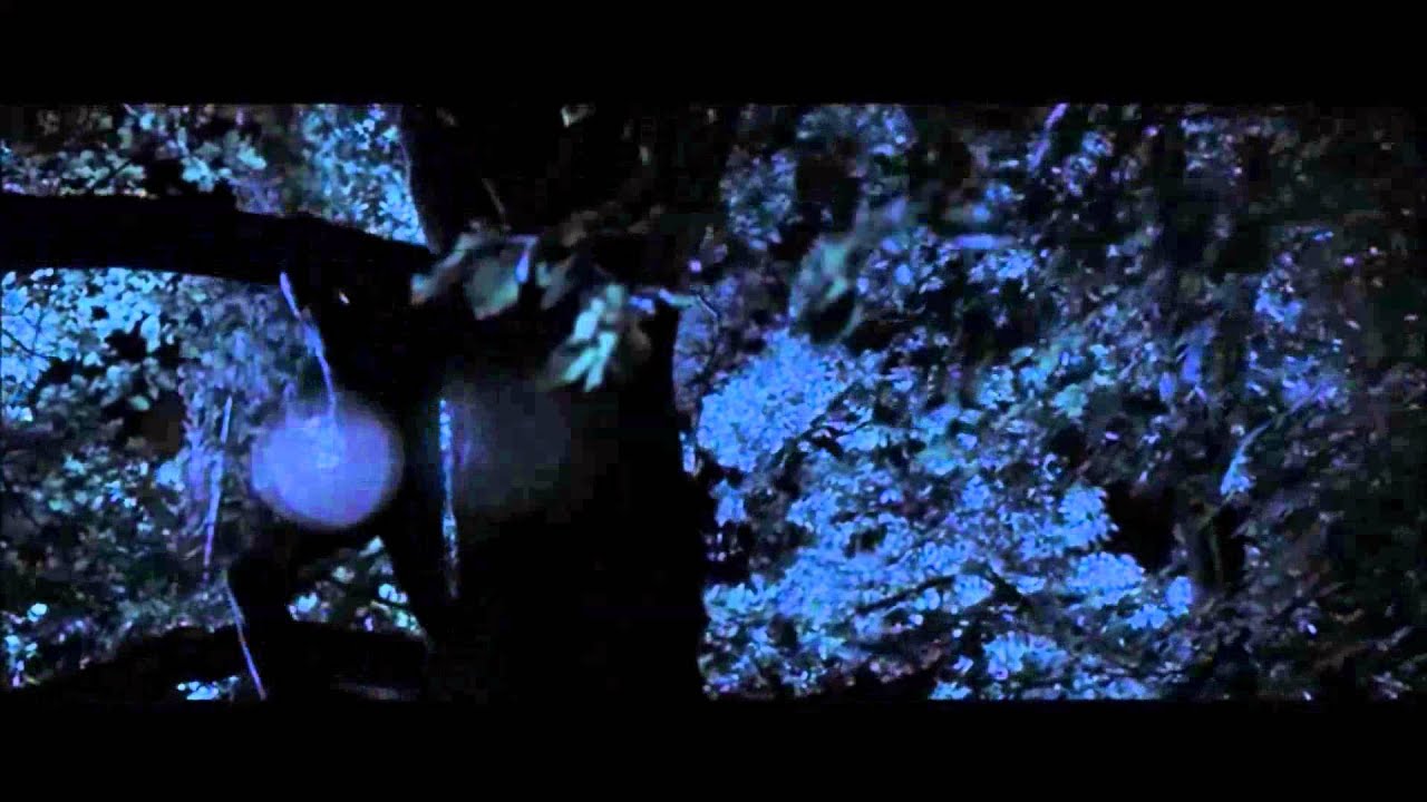 Enemies Closer: Tree Fight