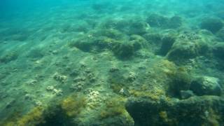 10-07-16 Mañana de buceo y kayak en La Fabriquilla(8)