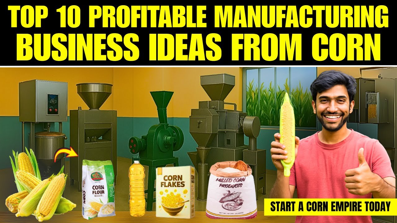 Top 10 Lucrative Business Ideas from Corn - Maize Business Ideas