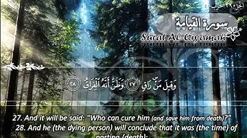 سورة القيامة ماهر المعيقلي   Sûrat Al Qiyamah Maher Al Muaiqly