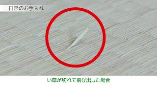 發霉、斷裂怎麼辦？榻榻米專家親授：3招超實用的藺草日常保養術