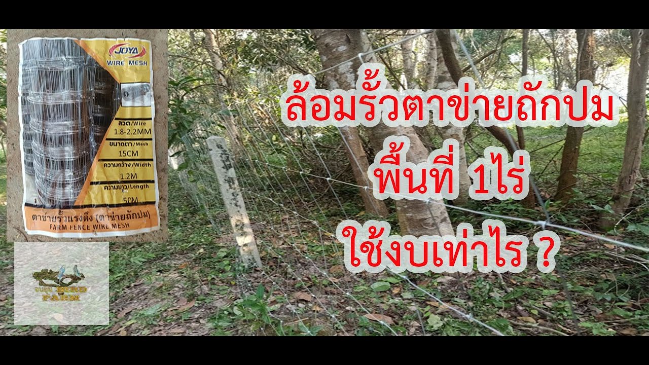 ล้อมรั้วตาข่าย ด้วยตาข่ายถักปม พื้นที่ 1ไร่
