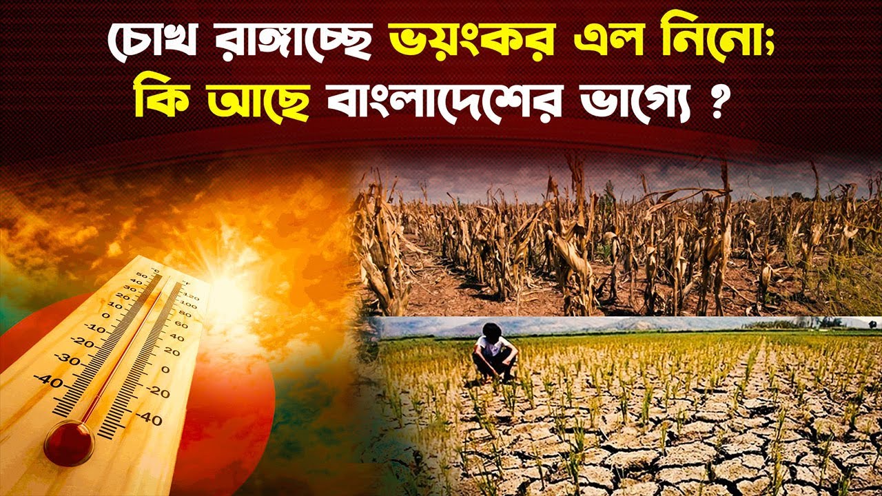কতোটা ভয়াবহ হবে ২০২৪ সালের গরম ? || Trendz Now
