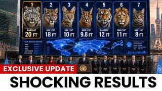 Scientists Ranked Every Cat by Jump Height — The Winner Shocked Everyone