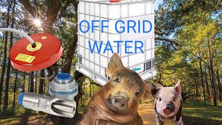 Off the Grid Water System for Pigs   IBC and Nipple Hog water by Smoky Mountain Homestead 1,038 views 4 months ago 6 minutes, 39 seconds