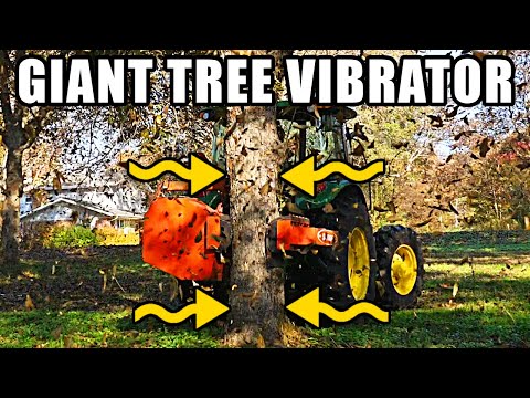 How to Harvest Pecans (In Slow Motion) - Smarter Every Day 248