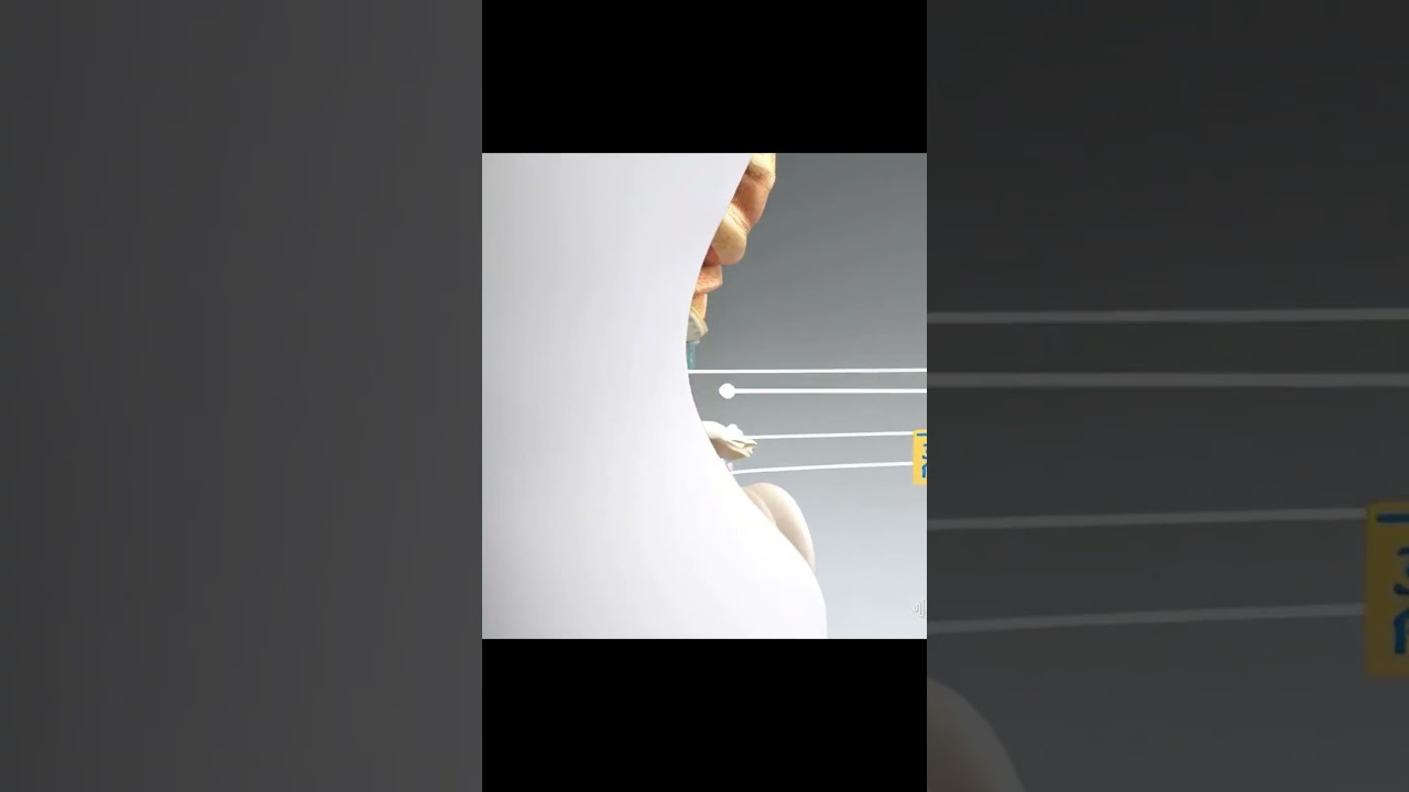 3D Anatomy Illustration - lower pelvic region of men, 