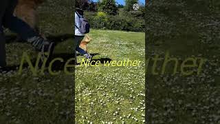 Lauredal Gijon Asturias The Serdeña Martinez Vlognice Weather