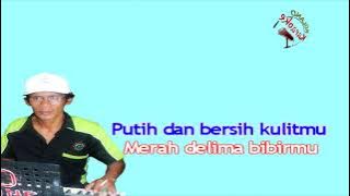 Karaoke dangdut Jelita siapa engkau by Muchsin alatas non vokal