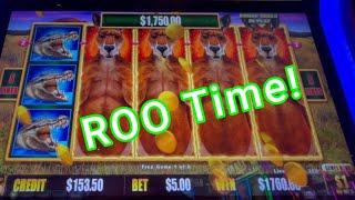 Aussie Boomer - The Kangaroo Lock-it-Link Dollar Storm Game! AMAZING Line Hit for a HandPay!