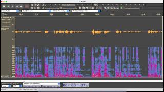 Punch and Roll in Audacity
