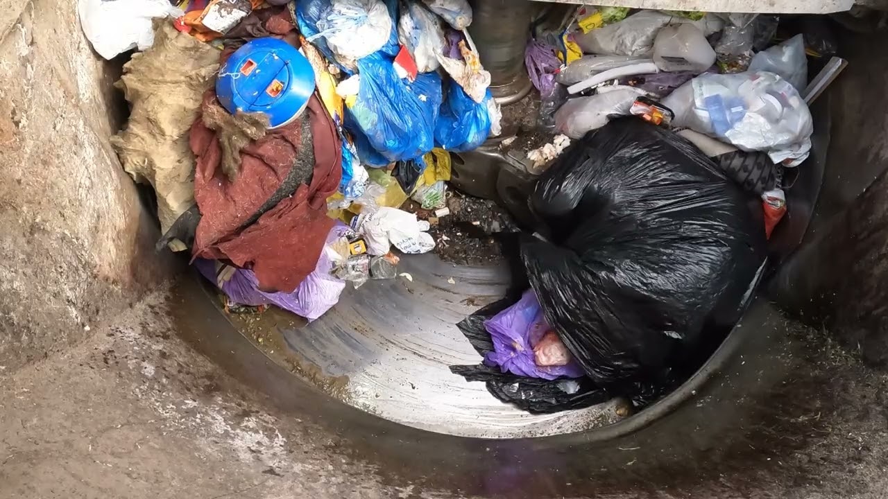 Friday 11/3/22 Mixed Bag Run