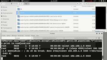 009samba CVE 2007 2447 remote command injection