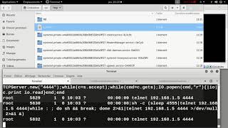 009samba CVE 2007 2447 remote command injection