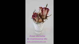 DIY Recette et fabrication de rose eternelle Resimi