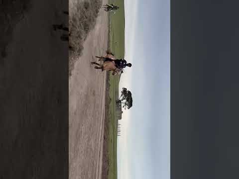 Traditional Horse Racing Ntabankulu EC 08 11 2025