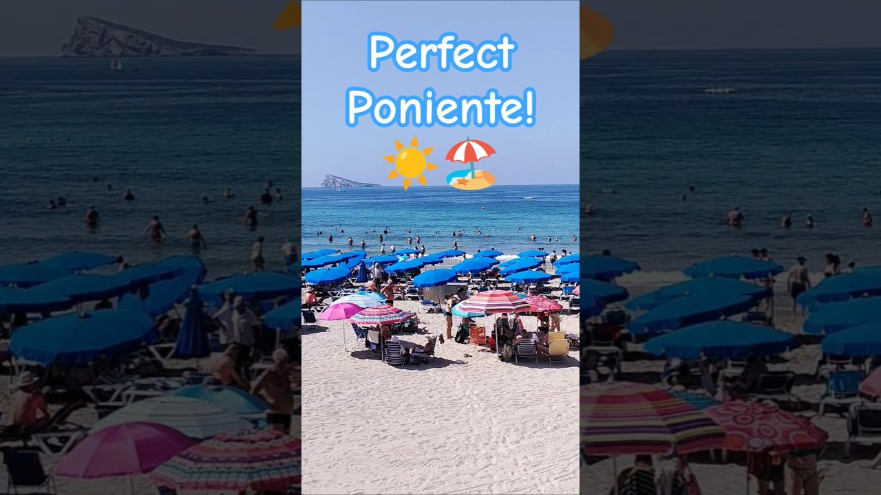 SIZZLE IN THE SUN @ Benidorm's Perfect Poniente! ☀️🌴🌊 #benidorm #poniente