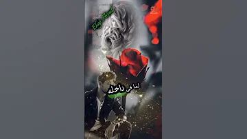 ما تفرطش في اللي بيحبك بصدق دول نادرين كلام من القلب كلام من ذهب اكسبلور Arabic Viralvideo 