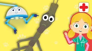 Joe The Stick Insect Visits Dr Poppy's Pet Rescue | Animals For Kids