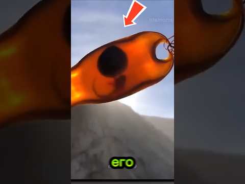 Мужчина нашёл странное яйцо… А внутри оказалась маленькая акула 🦈😱#shortvideo #shorts