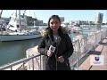 🔴 EN VIVO | Noticias Univision Tampa Bay | 12:30 p.m. 01/24/2025