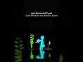 توقف عن تضييع وقتك! 🥀 Why You Must Stop Watering Dead Plants for Success 2026