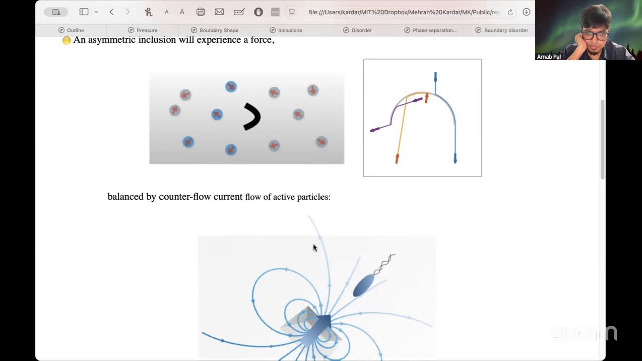 Boundaries, inclusions and disorder in active matter by Prof. Mehran Kardar