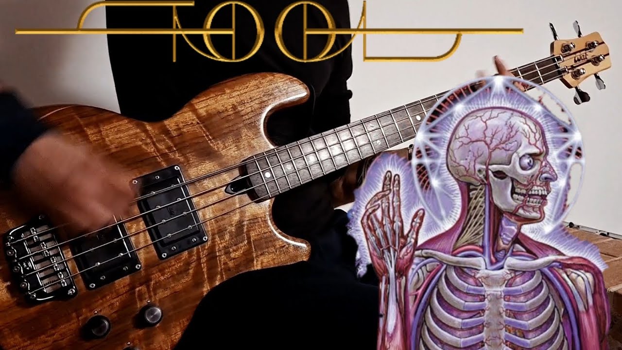 TOOL - Parabola (Bass cover) 