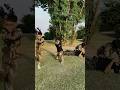 Pakistan#army#pakarmyzindabad#comedy#funny#armylover#travel#video#sorts#army