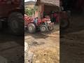 Massey Ferguson 165 #tractor #engine #engines