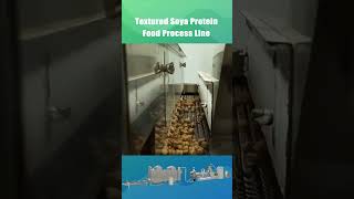 Vegetarian Soya Meat Process Line/The Manufacturing Process of Vegetarian Meat