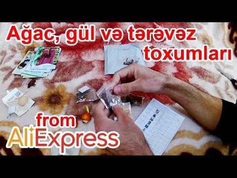 Video: Cycad Qabıqlı