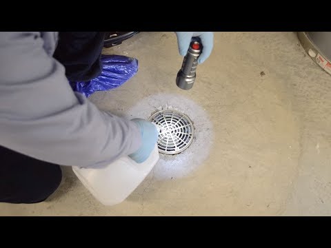 How To Get Rid Of Drain Flies