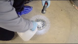 How to Get Rid of Drain Flies | RotoRooter