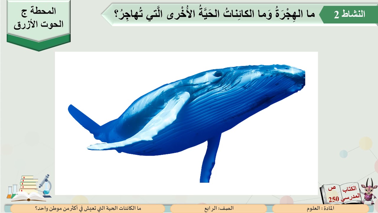 الصف الرابع   العلوم   ما الكائنات الحية التي تعيش في أكثر من موطن واحد