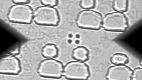 Enhancing Range of Transport in Optical Tweezers Assisted Microfluidic Chambers