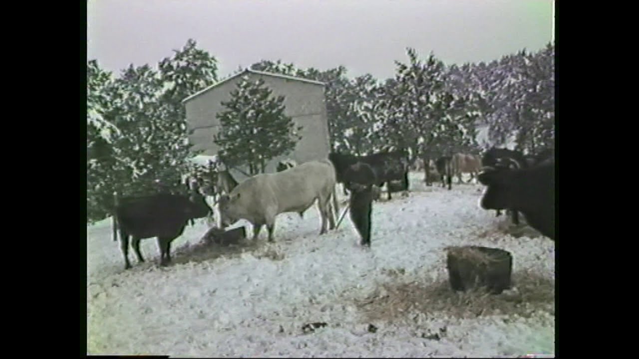 NEVADAS  EN SAN LEONARDO, AÑOS 1983 y 1984.