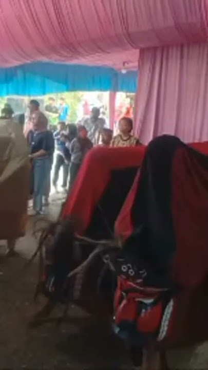 ngeri kesurupan massal//barongan Randu Budoyo