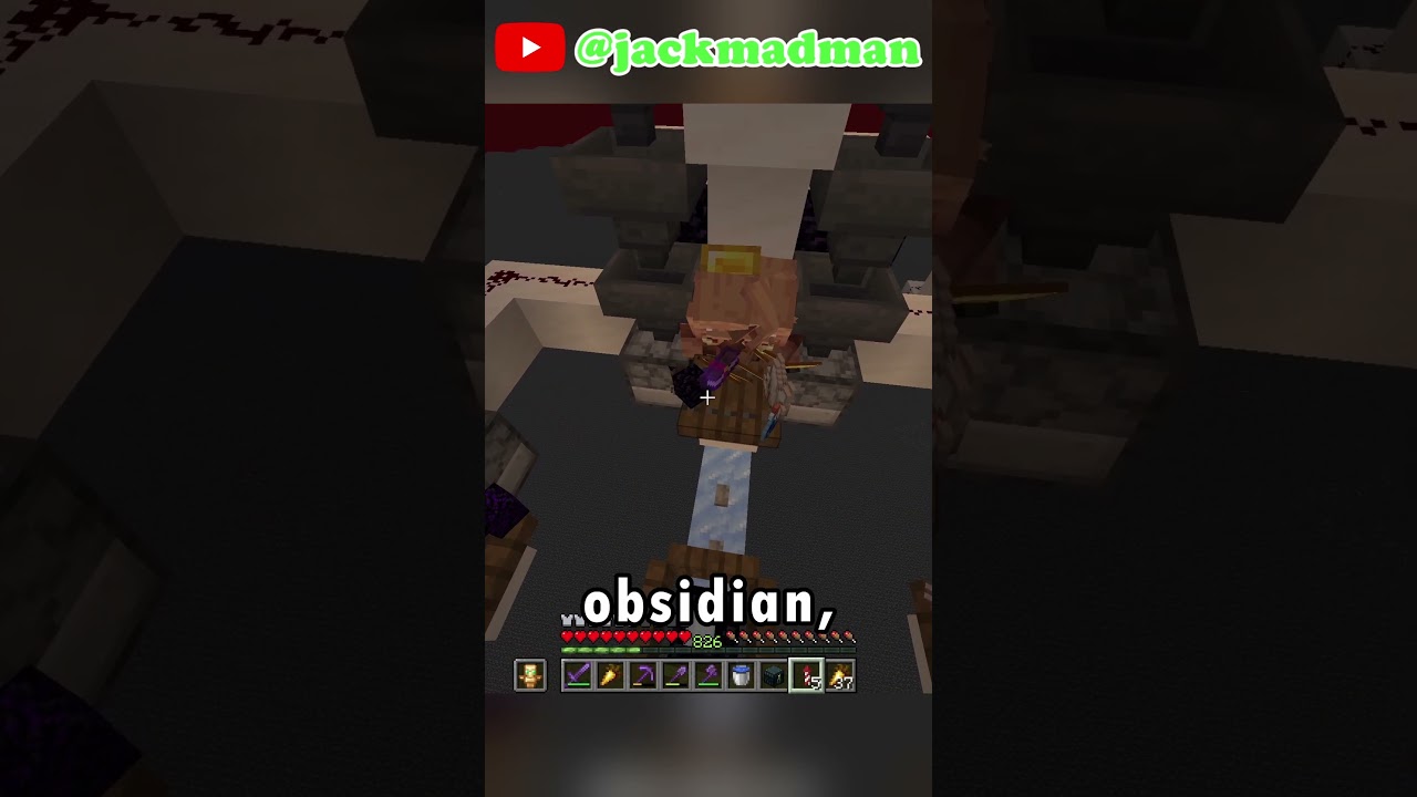 Piglin Bartering Farm Project!! Go Watch The Full Video jackmadman