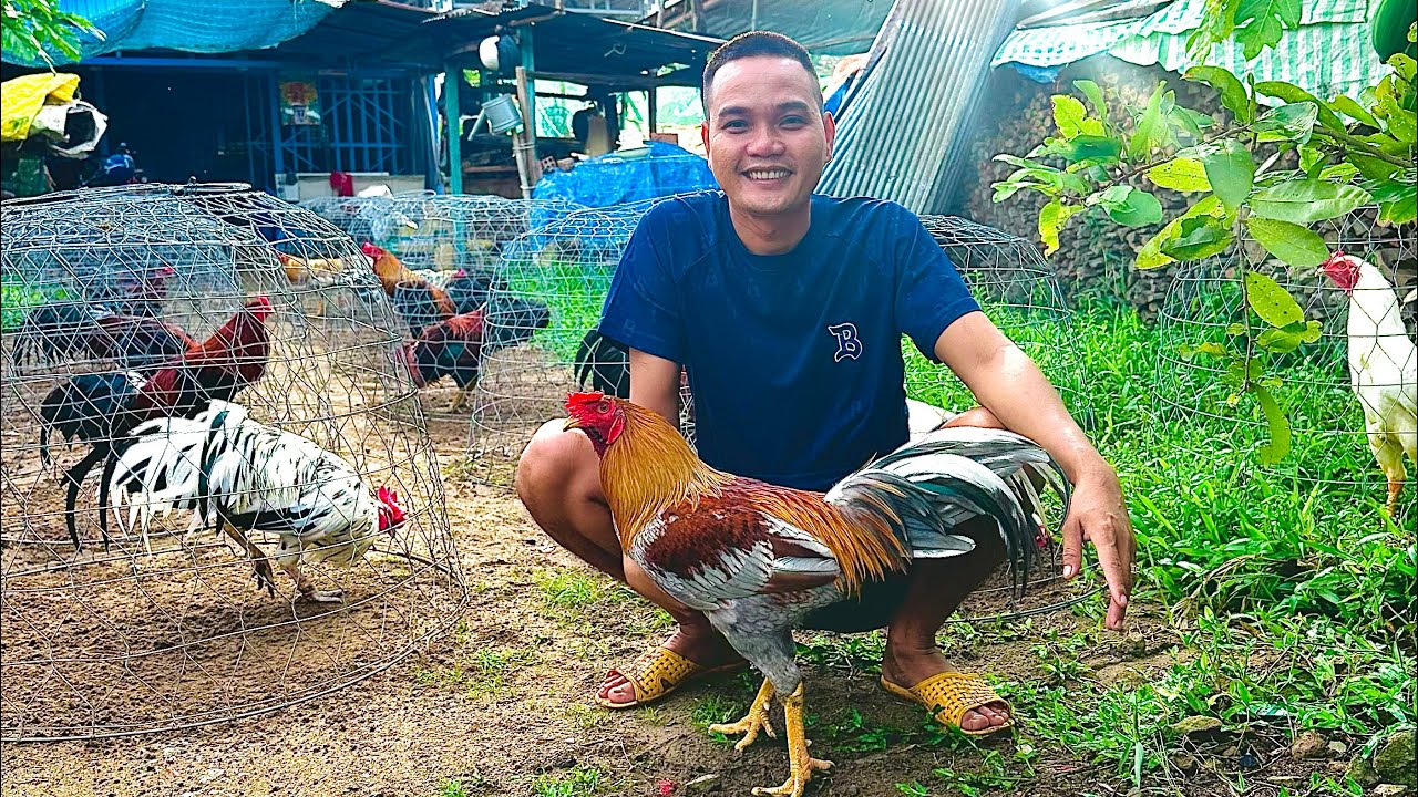 Tốp 🐓 Gia Công Mới Về Đang Vào Chế Độ Phục Vụ Ae Nhảy💃Múa🕺 Ae Xem Clip Vv 