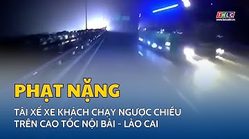 Phạt nặng tài xế xe khách chạy ngược chiều trên Cao tốc Nội Bài - Lào Cai | THLC