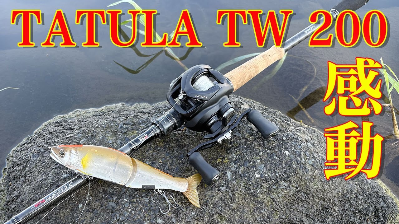 感動！最高！タトゥーラ TW 200！！