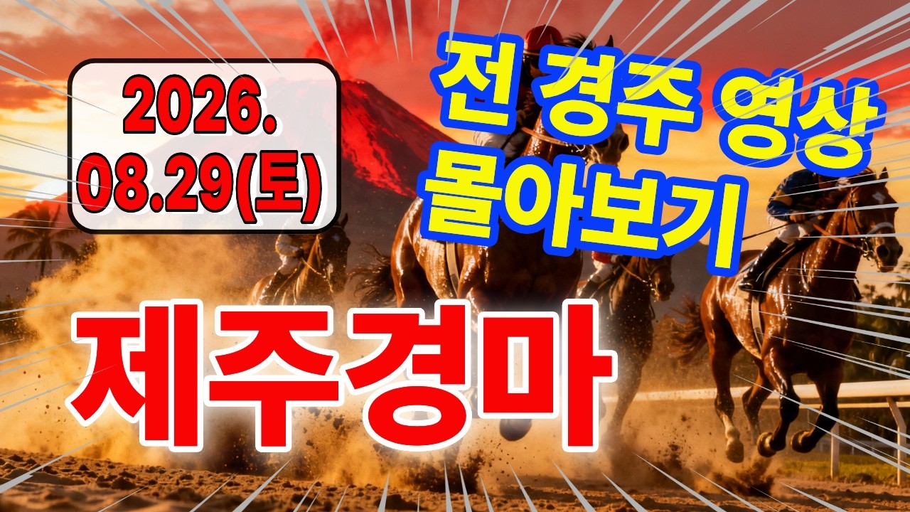 2026년 8월 29일 토요일 제주경마 경주결과 한번에 몰아보기(전 경주 결과 모아보기) 경주분석ㅣ경주영상ㅣ경마예상