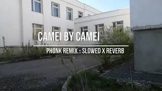 Camel By Camel   Slowed X Reverb Phonk Remix