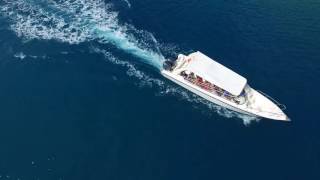 Speed Boat Tours - Adrenaline Tours Curacao