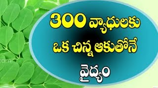 300 వ్యాధులకు మెడిసిన్ మునగాకు | Drumstick Leaves Health Benefits I Munagaku  | Telugu Health Tips screenshot 2