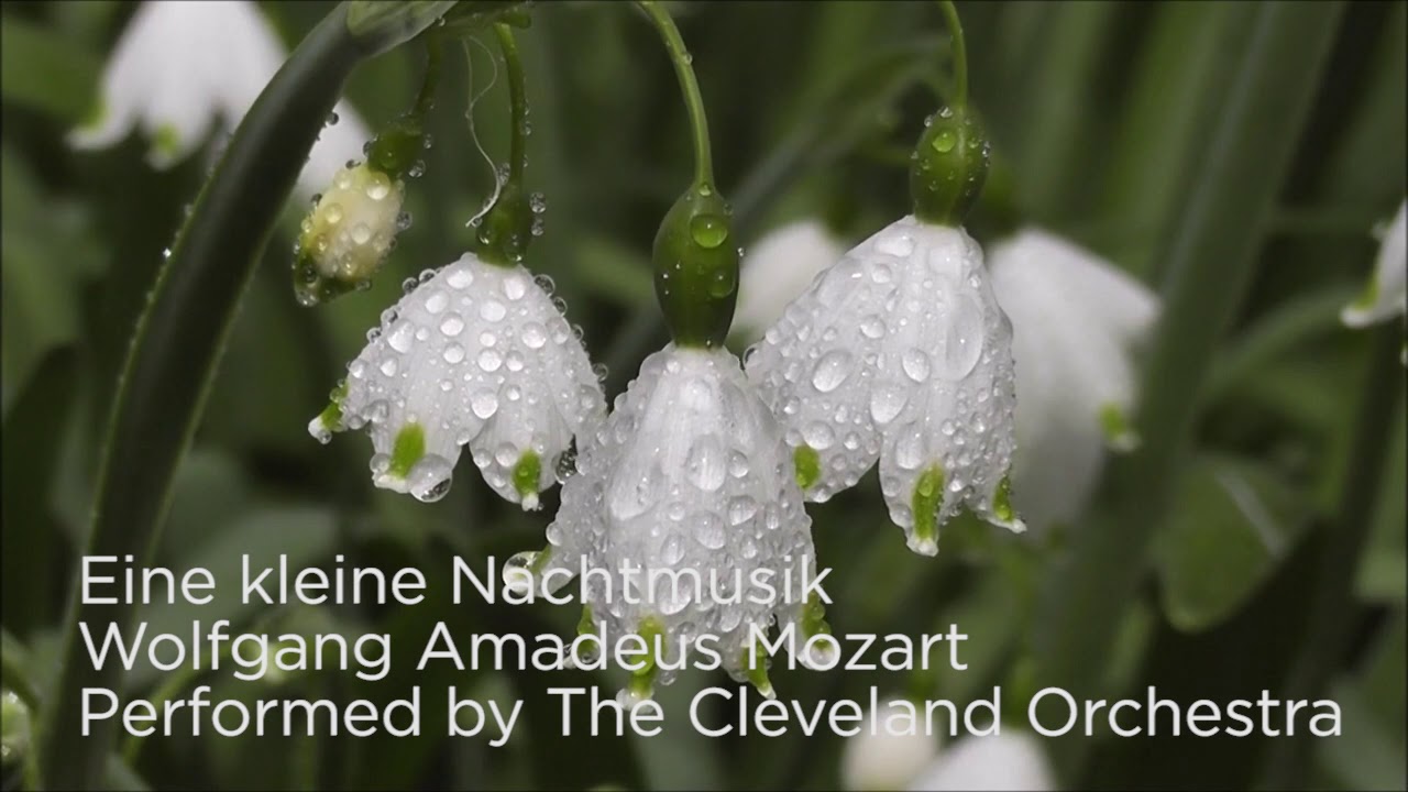 Mindful Music Moment | Mozart